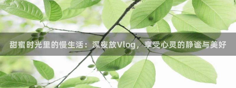 糖 心vlog网站:甜蜜时光里的慢生活: