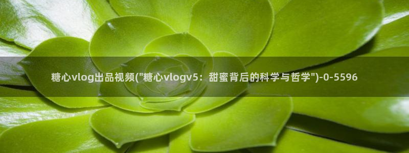 糖心vlog金善雅排名:糖心vlog出品