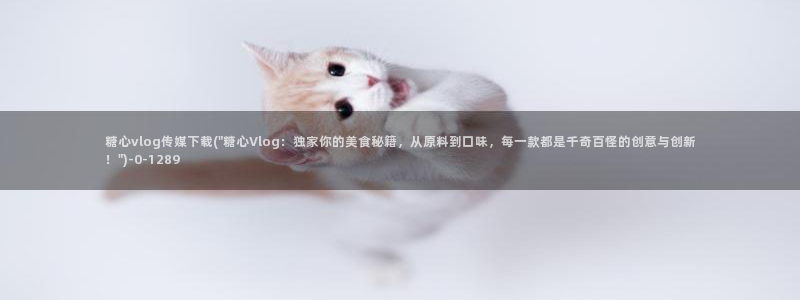 糖心vlog转圈:糖心vlog传媒下载(