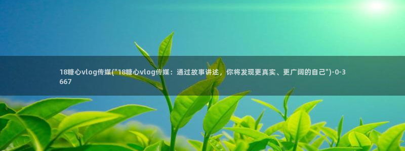 糖心vlog新人:18糖心vlog传媒(