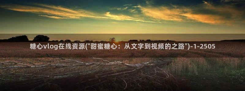 安安糖心vlog:糖心vlog在线资源(